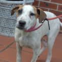 Photo of Ruby **A Sweet Sweet Princess**
