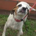 Photo of Ruby **A Sweet Sweet Princess**