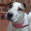 Photo of Ruby **A Sweet Sweet Princess**
