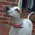 Photo of Ruby **A Sweet Sweet Princess**