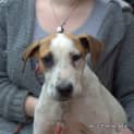 Photo of Ruby **A Sweet Sweet Princess**