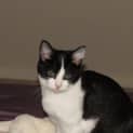 Photo of Turbo