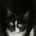 Photo of Tina