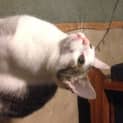 Photo of Fleur