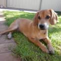 Photo of Earl *On Trial In His New Home*