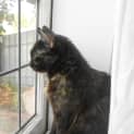 Photo of Macie