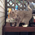 Photo of Cloud