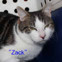Photo of Zack