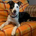 Photo of Casey: Friend To Many!!!