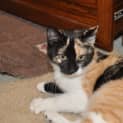 Photo of Lola