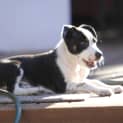 Photo of Jack