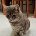Photo of Peaches