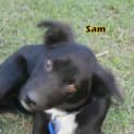 Photo of Young Sam (On Trial 1/8/14)