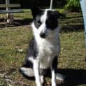Photo of Vinnie