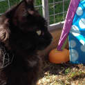 Photo of Monty