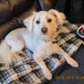 Photo of Boof *On Trial In H Is New Home*