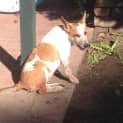 Photo of Tia