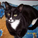 Photo of Marco