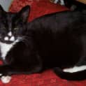 Photo of Marco