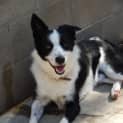 Photo of Vinnie