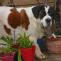 Photo of Molly