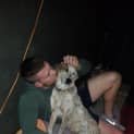 Photo of Minnie (On Trial 30/8/14)