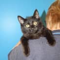 Photo of Shilo