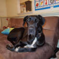 Photo of Gem