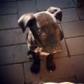 Photo of Lil