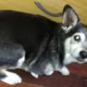 Photo of Bud