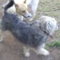 Photo of Ieko