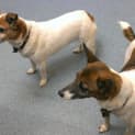 Photo of Thelma And Louise