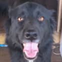 Photo of Leif