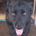 Photo of Leif