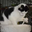 Photo of Gemma