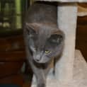 Photo of Mia