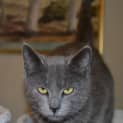 Photo of Mia
