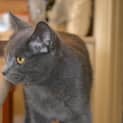 Photo of Mia
