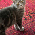 Photo of Jerry