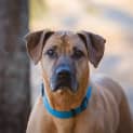 Photo of Storm