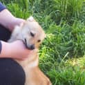 Photo of Tilly
