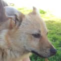 Photo of Tilly