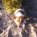 Photo of Mackie