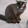 Photo of Olivia