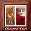 Photo of Cleopatra
