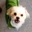 Photo of Polly