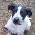 Photo of Shawnee