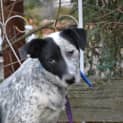 Photo of Murphey