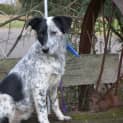Photo of Murphey