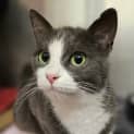 Photo of Delilah